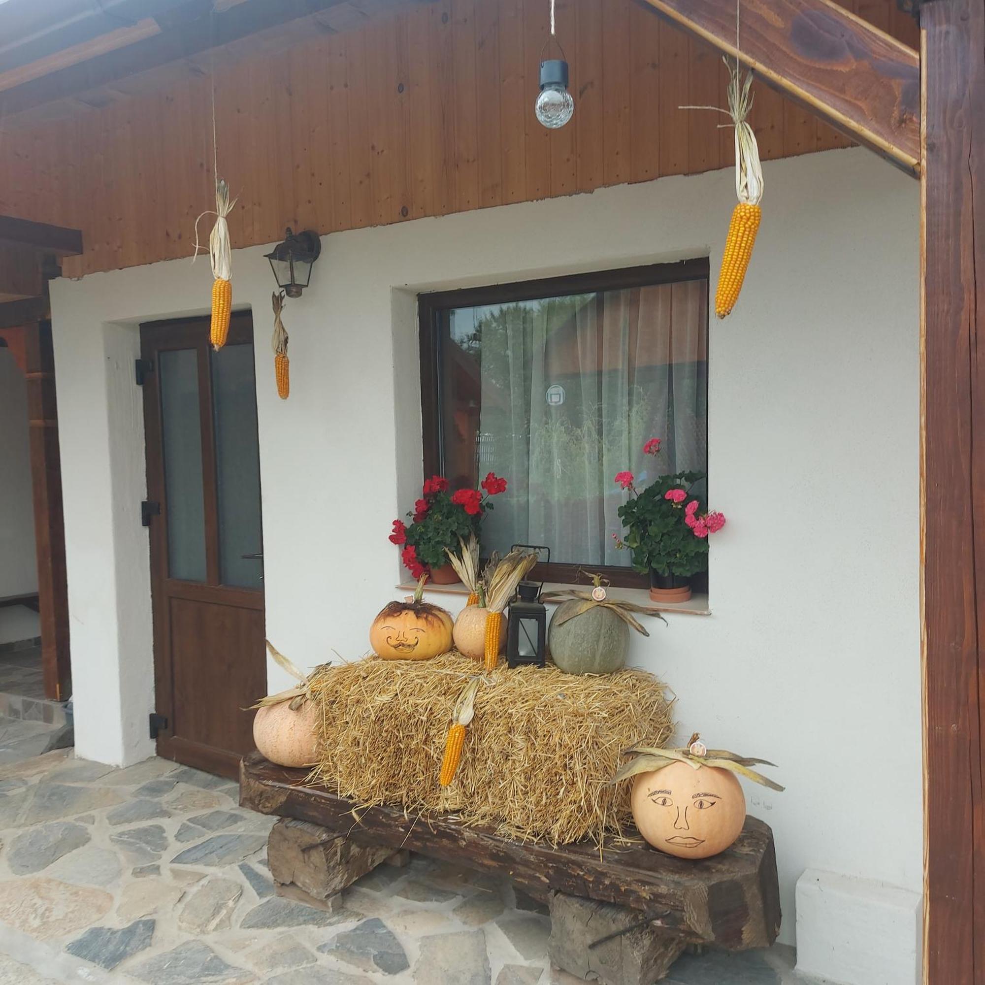Cabana Lunca Târgu Neamţ Bagian luar foto